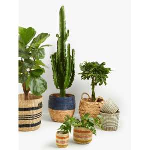 Panier tissé tissé à motifs John Lewis en jacinthe d'eau - Product Image 2