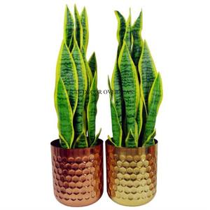 Lot de 3 jardinières de forme ronde revêtues de poudre de couleur noire en métal de qualité supérieure avec support pour fournitures de décoration de maison et de jardin - Product Image 6