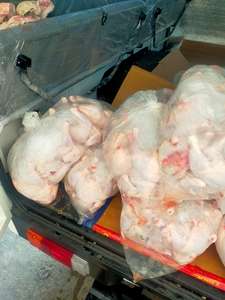 Muslos y Partes del Cuerpo de Pollo Congelados IQF Halal Premium con 12 Meses de Vida Útil - Gran Oferta a Bajo Precio - Product Image 6