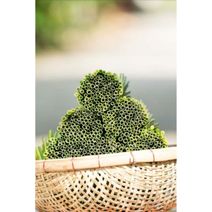 Pajitas de hierba 2025 reutilizables/naturales de alta calidad y precio barato para beber superventas - Product Image 5