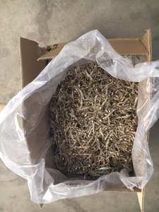 ปลาทะเลจากเวียดนาม/วันหยุดนักขัตฤกษ์เกลือแห้งทั้งหมด - Product Image 4