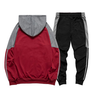 Conjunto de Sudadera con capucha de color sólido de invierno barato con logotipo personalizado para hombre, de alta calidad Unisex jersey liso, traje de pantalones de chándal - Product Image 3