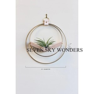 Maceta colgante de hierro y Metal de forma redonda de alta calidad hecha de marco de alambre, accesorio de maceta de decoración de balcón con revestimiento de polvo de Color negro - Product Image 5