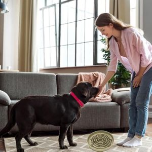 Alfombrilla de silicona para lamer para mascotas, almohadilla de comedero interactivo, ayuda a la digestión, alivia la ansiedad, material seguro y duradero antideslizante - Product Image 6