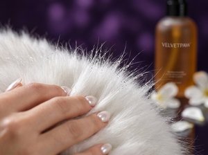 Shampoo pour chat à poils longs VELVETPAW Premium & Shampooing + Après-shampoing 2-en-1 Extrait de camomille Formule soie Pour chats persans et Maine Coon - Product Image 6