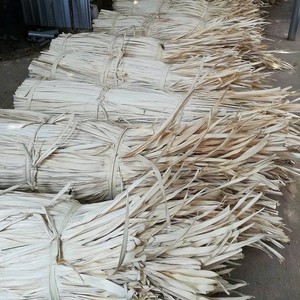 Feuilles de palmier Corypha Matériau naturel séché du Vietnam pour l'artisanat traditionnel et la fabrication de papier biodégradable - Product Image 6