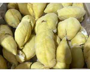 Durian congelado IQF suministrado desde Vietnam procesamiento Durian congelado IQF en embalaje estándar para el Comercio Global para la exportación - Product Image 4
