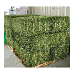 Pellets et balles de foin d'alfalfa, riches en protéines, pour l'alimentation des chevaux et des porcs, de haute qualité, origine américaine, emballés en sacs - Product Image 4