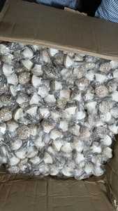 Perillas de puerta de madera grabadas a mano hechas a medida con lavado blanco ideal para tiendas de decoración del hogar para reventa - Product Image 5