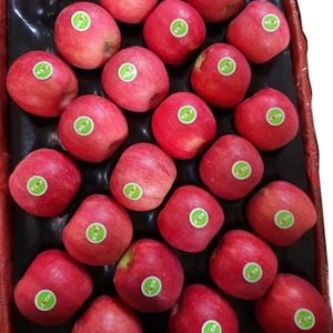 Vente en gros de pommes rouges Fuji biologiques fraîches de haute qualité, prix du marché, 10 kg, qualité super premium, distribution rapide, à vendre - Product Image 2