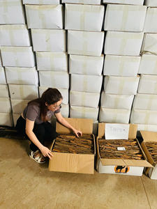 Producto agrícola estándar de exportación de canela dividida/Cassia/Zimt de calidad Natural de grado superior - Product Image 2