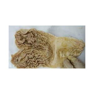 Abomaso de ternera semicocido de calidad premium hecho en fábrica - Product Image 1