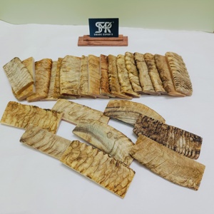 Plaques d'écailles en corne de mouton de bélier polies de qualité supérieure poignées de couteau personnalisées écologiques Style animal pour couteaux faits à la main haut de gamme - Product Image 1