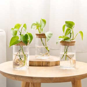 Terrarium <span class=keywords><strong>de</strong></span> propagation des plantes, station <span class=keywords><strong>de</strong></span> plantation en verre <span class=keywords><strong>de</strong></span> bureau, vase en verre pour plantation aquatique avec couvercle et support en bois, décoration <span class=keywords><strong>de</strong></span> bureau, 3 pièces - Product Image 6
