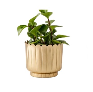 The Latest Design iron Flower <b>Pot</b> Indoor Golden Metal Planters with Stand Planters <b>Large</b> Outdoor Printing Planters - Product Image 1
