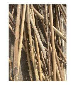 Bastón de bambú de ratán Manau/material de poste de ratán al por mayor recto con palo de bastón de ratán fuerte y duradero - Product Image 1