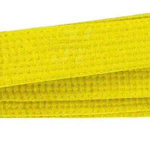 Cinturones de Karate personalizados más vendidos Precio al por mayor MOQ bajo Desgaste de artes marciales en línea - Product Image 5