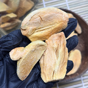 ซาโปต้าแห้งขนมผลไม้แช่แข็งแบบแห้ง - Product Image 5