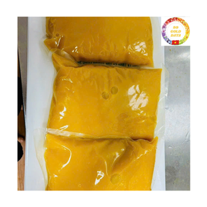Pulpa de Mango de Vietnam al por Mayor Congelada para Bebidas, Postres y Panadería - Product Image 6