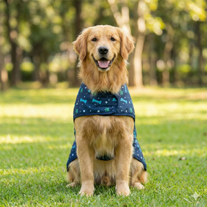 Chaqueta Acolchada Ligera y Ajustable para Mascotas, Color Azul Oscuro, Diseño de Hueso y Pata, Cómoda, Duradera, Plegable, para Invierno, para Paseos Diarios con Perros - Product Image 2