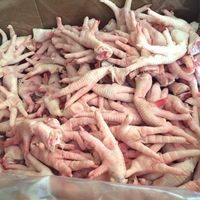 Patas de Pollo Congeladas Halal de Primera Calidad, Corte Natural, Grado Superior, Origen Estadounidense, 50 kg