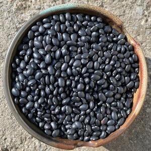 Frijoles negros secos al por mayor, frijoles negros secos a granel de calidad superior a la venta al mejor precio de mercado - Product Image 4