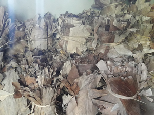 Feuilles de bananier séchées naturellement du Vietnam Meilleur choix pour l'emballage alimentaire traditionnel - Product Image 6