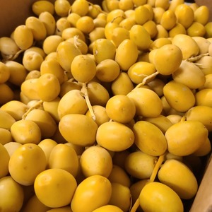 Saludable dulce rico dátil fresco empaquetado a granel dátiles frescos para el suministro al por mayor que ofrece energía natural y sabor rico - Product Image 2