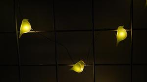 สายไฟ LED 18เส้นยาว1.7เมตรยาว2700K สีขาวนวลใช้แบตเตอรี่สีเงินใช้ตกแต่งบ้านในร่มสวนงานปาร์ตี้ - Product Image 6