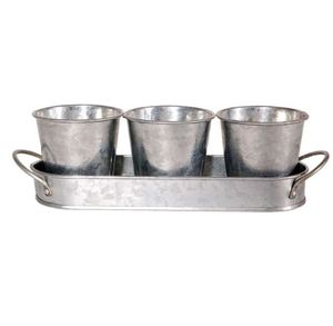 Plateau en fer galvanisé en métal avec pots Jardinières et pots de fleurs en métal personnalisés en fer galvanisé pour décoration intérieure et extérieure - Product Image 6