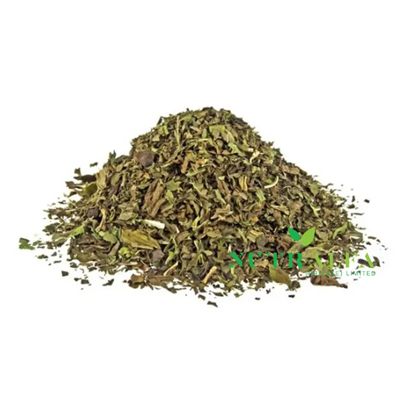生茶ペパーミント乾燥葉用乾燥ペパーミント葉卸売高品質