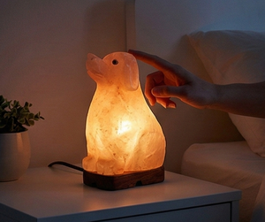 Lampe de sel de l'Himalaya en forme de chien, cristal rose naturel, roche sculptée à la main, veilleuse pour les amoureux des animaux, décoration d'intérieur, article cadeau - Product Image 5