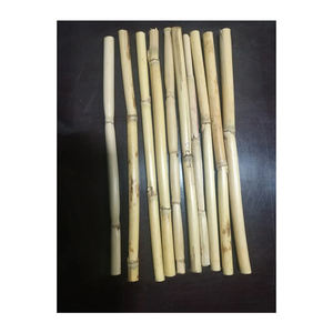 Pajitas de caña de bambú compostables ecológicas para el hogar y más allá de su elección de bebida sostenible - Product Image 5