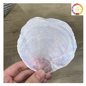 Azulejos redondos duraderos de Capiz Natural a granel con agujeros para decoración de cortinas hechas a mano de joyería DIY e iluminación costera - Product Image 2