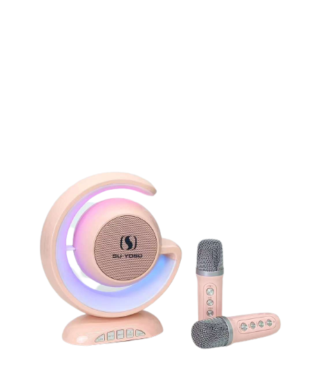 YS110 Portable Outdoor Speaker Karaoke Double Microphone Heavy Bass Loud Sound Microphone Led Light Party Speaker
