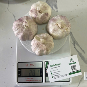 Ajo Fresco Vietnamita, Ail Frais Natural Premium, Bulbos Enteros de Ajo Blanco para Compradores Mayoristas - Product Image 6