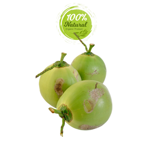Coco fresco de Vietnam-Una fuente de pura vitalidad - Product Image 5
