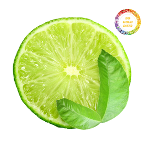 Limones verdes sin semillas seleccionados a mano que ofrecen un sabor jugoso y un aroma aromático para cocinas, bares y recetas caseras - Product Image 6
