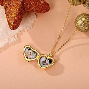 Collier personnalisé en acier inoxydable Jeulia avec pendentif cœur photo et empreinte de patte, pierre de naissance - Product Image 6
