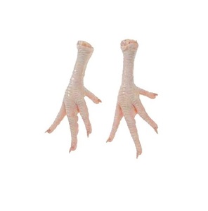 Pieds et pattes de poulet congelés certifiés HALAL de haute qualité, emballés sous vide, nutritifs, sans graisses trans, sans sucre - Product Image 5