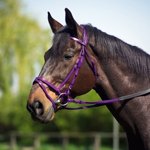 Venta al por mayor equipo ecuestre PVC caballo brida goma circunferencia riendas brida impermeable duradera caballo brida - Product Image 6
