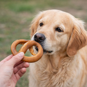 Friandises à mâcher pour chiens en bœuf déshydraté Viril, jouets à mâcher pour animaux de compagnie Bully Pretzel - Product Image 3