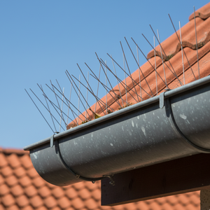 Puntas de Acero Inoxidable Rigiflex, Disuasivo para Aves, Solución Flexible para el Control de Plagas - Product Image 3