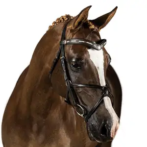 Tiếng Anh Da Bling Ngựa Bridle Chất Lượng Hàng Đầu Thời Trang Ngựa Bridle Và Reins Bất Chính Hãng Thép Không Gỉ Khâu Trắng