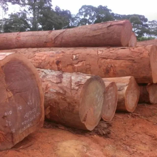 Goedkope Grenen/Hout/Eucalyptus/Berken/Beuken/Teak/Eiken Houtblokken