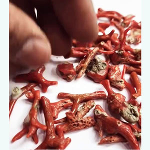 68 piezas de Coral italiano Natural 13mm a 43mm en bruto 264 Cts lote Iroc ventas materia prima de Coral de alta calidad para piedras preciosas sueltas - Product Image 3