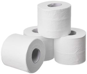 Papier toilette ultra doux en rouleau jumbo de 300 feuilles, non collant, serviettes de toilette pour salle de bain, paquet de 1 - Product Image 1