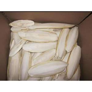 Os de seiche séché prêt à exporter pour les acheteurs - Product Image 2