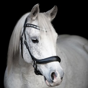 Bride de cheval en cuir véritable marron de haute qualité avec étale de style occidental fabriqué par un fabricant de bonne qualité - Product Image 5