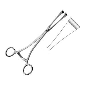 DeMartel-pinzas nasales de acero inoxidable, instrumentos para dentistas y ginecometría, certificado ISO CE, 14cm/5 1/2" - Product Image 3